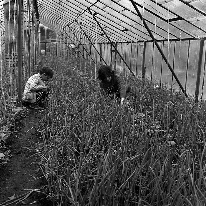 minerva_1970_Agrare_c1_c1r2_005