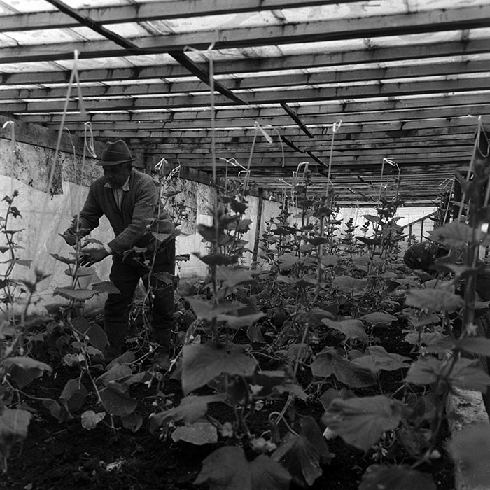 minerva_1970_Agrare_c1_c1r2_006