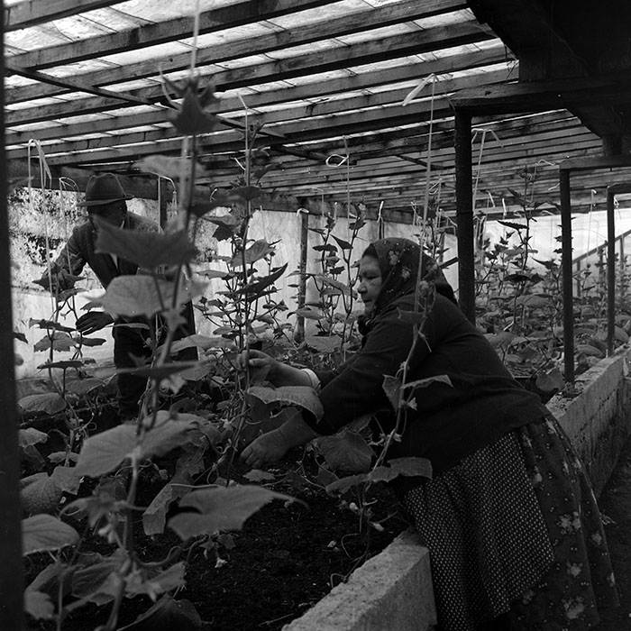 minerva_1970_Agrare_c1_c1r2_007