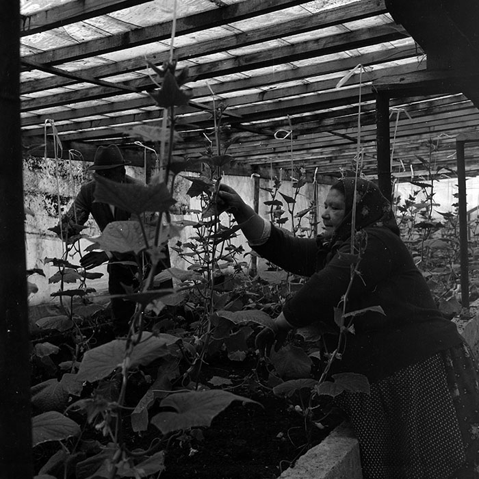 minerva_1970_Agrare_c1_c1r2_008