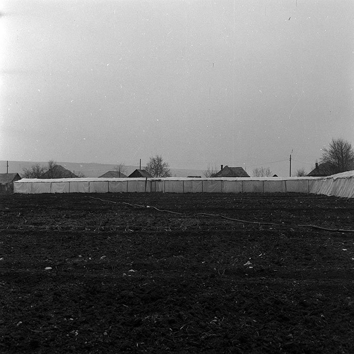 minerva_1970_Agrare_c1_c1r2_009