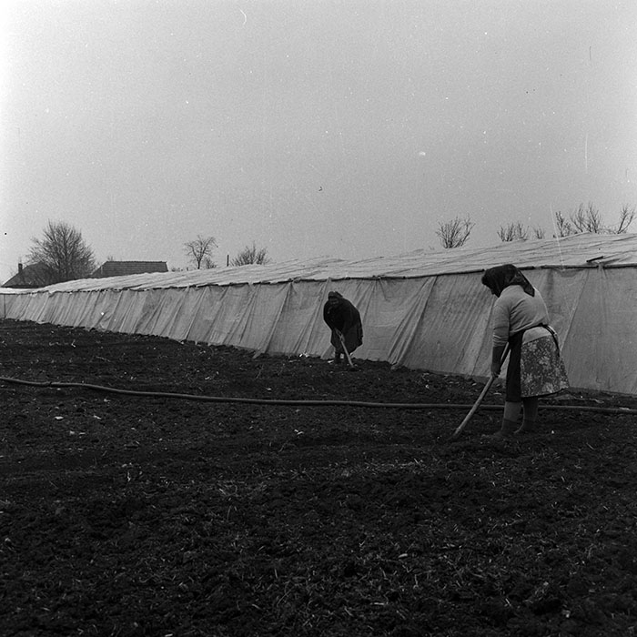 minerva_1970_Agrare_c1_c1r2_010