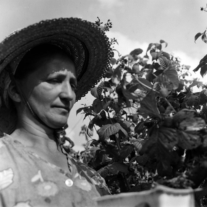 minerva_1970_Agrare_c1_c1r3_001