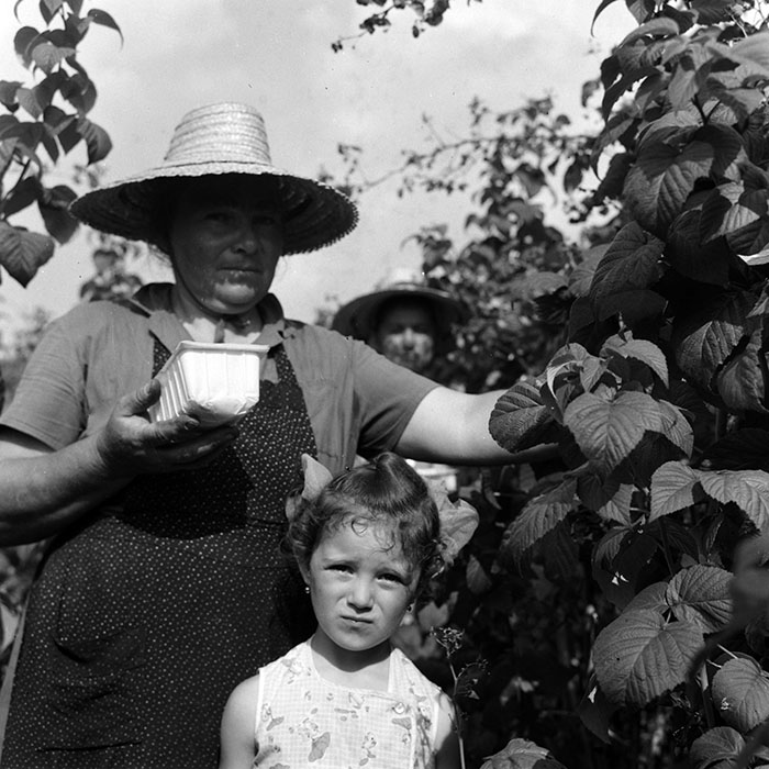 minerva_1970_Agrare_c1_c1r3_002