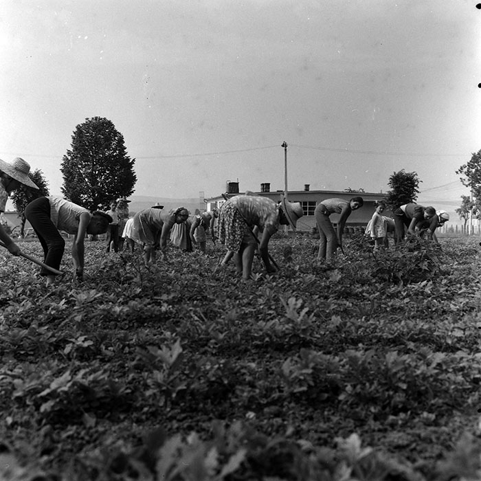 minerva_1970_Agrare_c1_c1r3_003