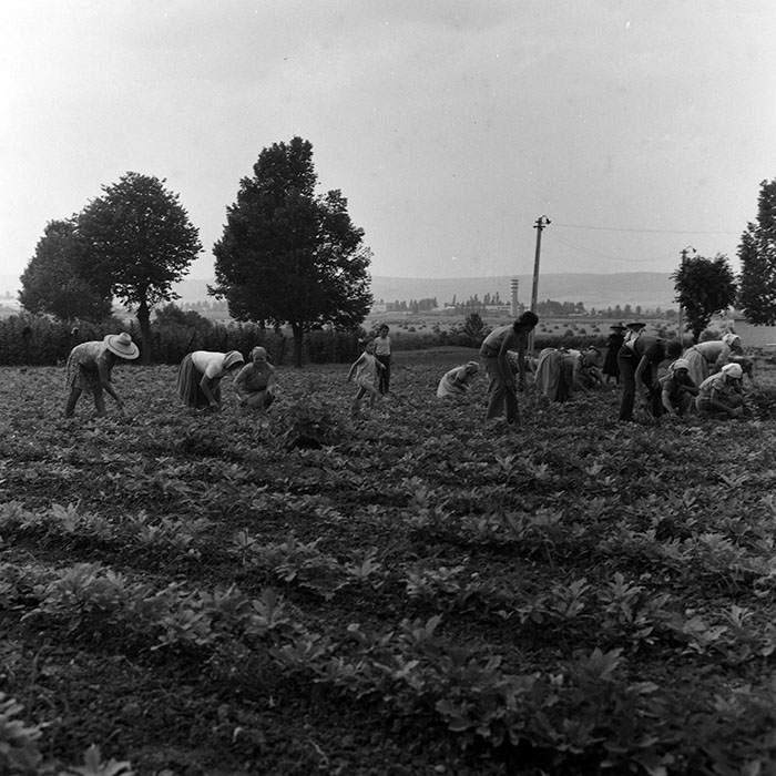 minerva_1970_Agrare_c1_c1r3_004