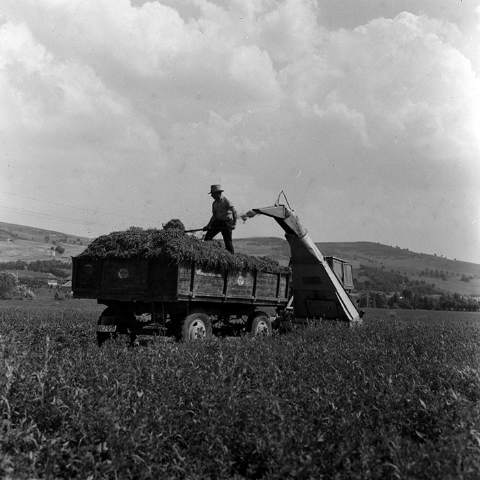 minerva_1970_Agrare_c1_c1r3_005