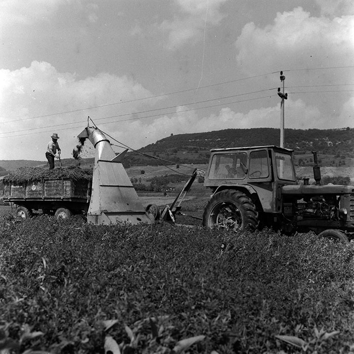 minerva_1970_Agrare_c1_c1r3_006