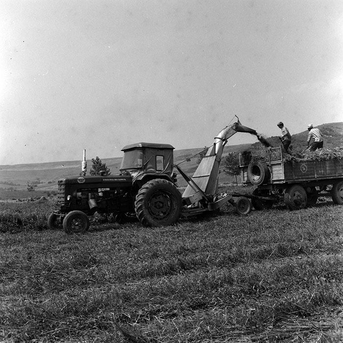 minerva_1970_Agrare_c1_c1r3_008