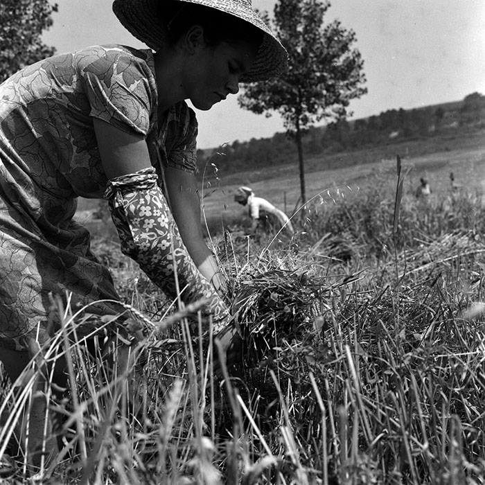 minerva_1970_Agrare_c1_c1r3_009