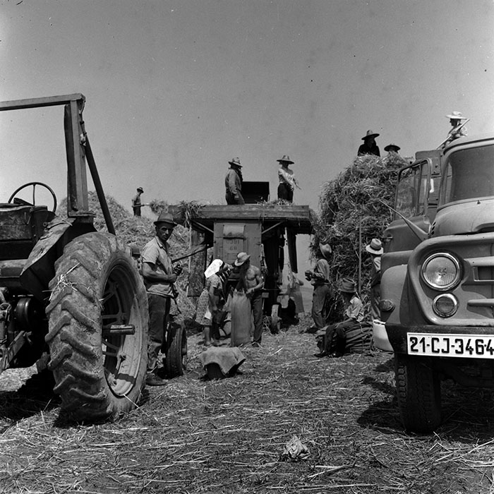 minerva_1970_Agrare_c1_c1r3_010