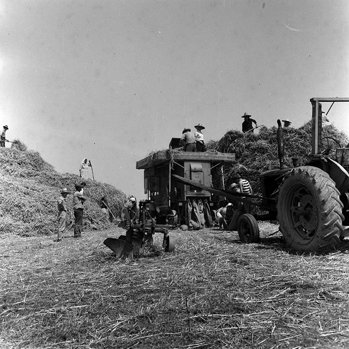 minerva_1970_Agrare_c1_c1r3_011