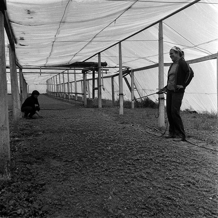 minerva_1970_Agrare_c1_c1r4_001