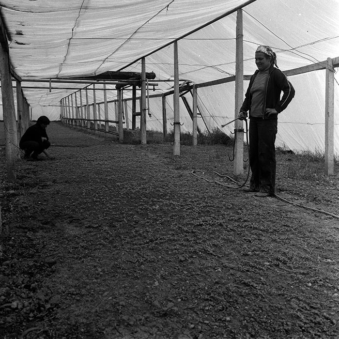 minerva_1970_Agrare_c1_c1r4_002