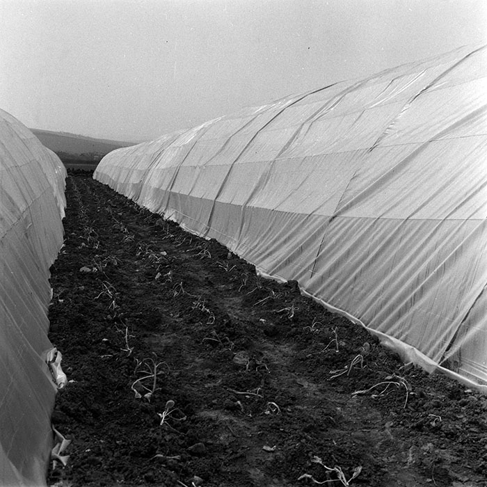 minerva_1970_Agrare_c1_c1r4_004