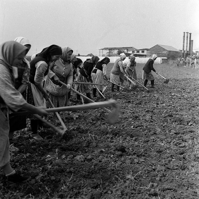 minerva_1970_Agrare_c1_c1r4_005