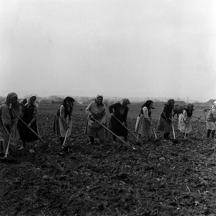 minerva_1970_Agrare_c1_c1r4_007