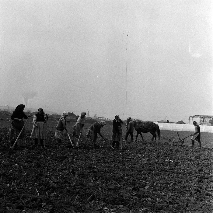 minerva_1970_Agrare_c1_c1r4_008