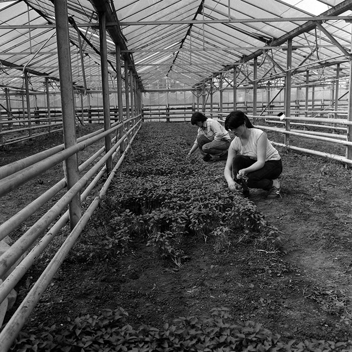 minerva_1970_Agrare_c1_c1r4_011