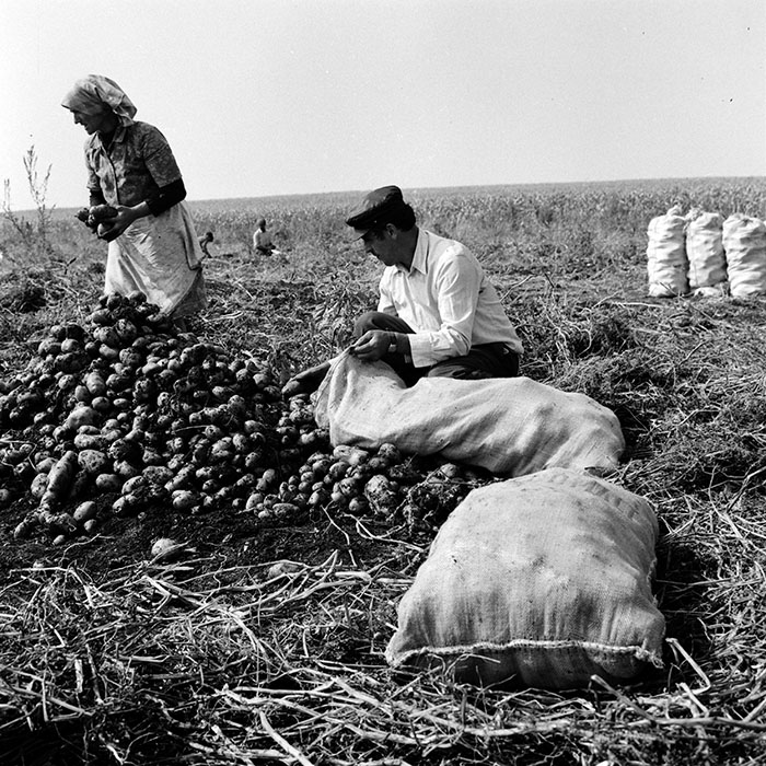 minerva_1970_Agrare_c1_c1r5_001