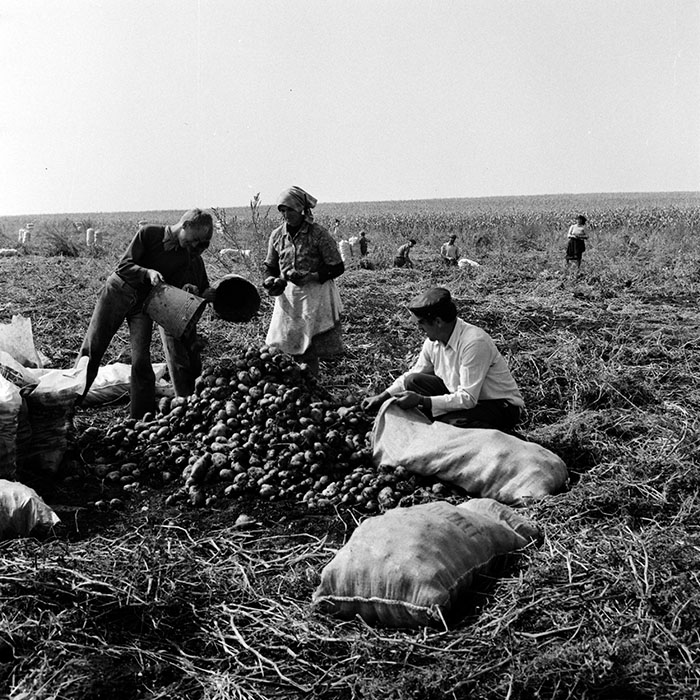 minerva_1970_Agrare_c1_c1r5_002