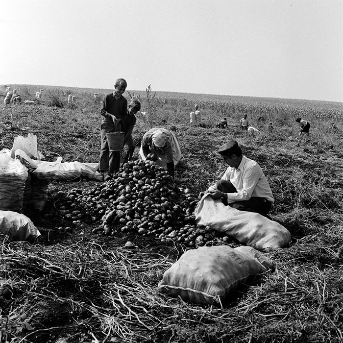 minerva_1970_Agrare_c1_c1r5_003