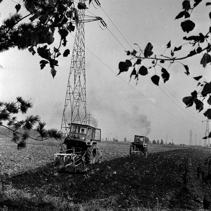 minerva_1970_Agrare_c1_c1r5_007