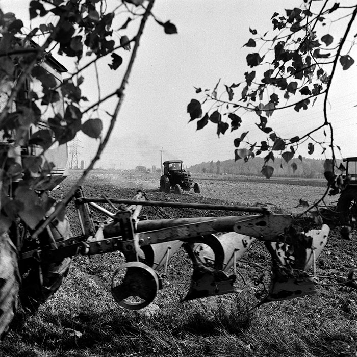 minerva_1970_Agrare_c1_c1r5_008