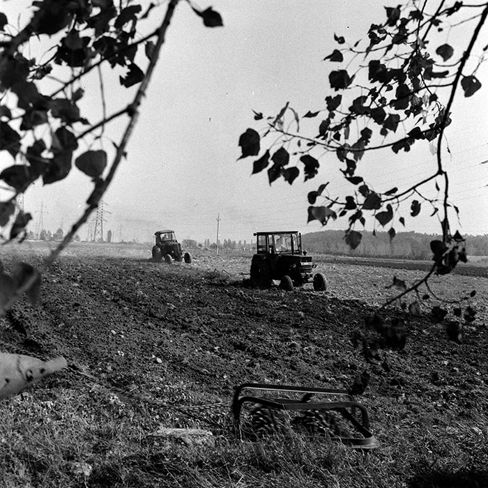 minerva_1970_Agrare_c1_c1r5_009