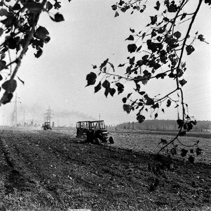 minerva_1970_Agrare_c1_c1r5_010