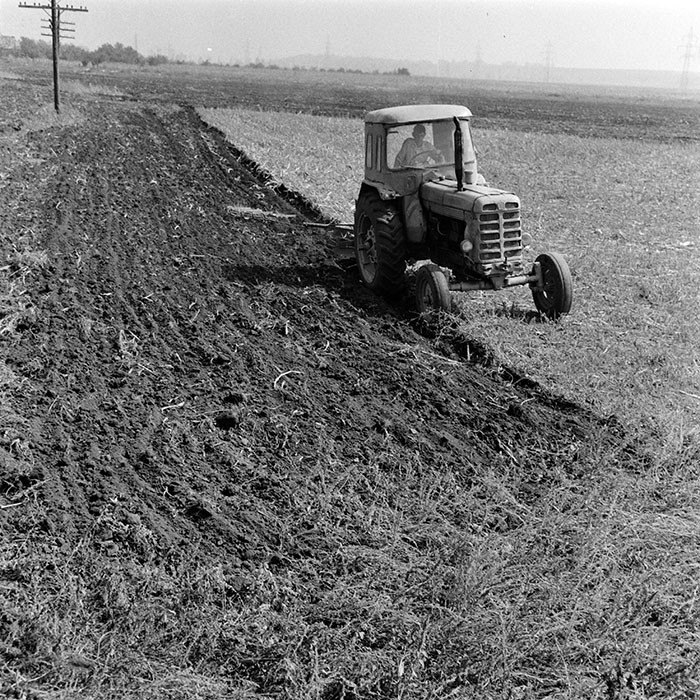 minerva_1970_Agrare_c1_c1r5_011