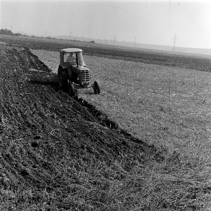 minerva_1970_Agrare_c1_c1r5_012