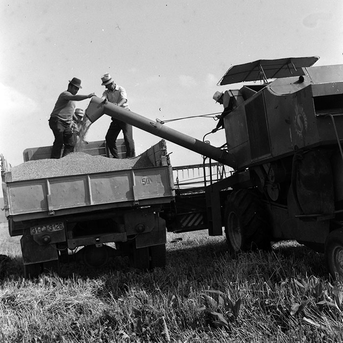 minerva_1970_Agrare_c1_c1r5_015