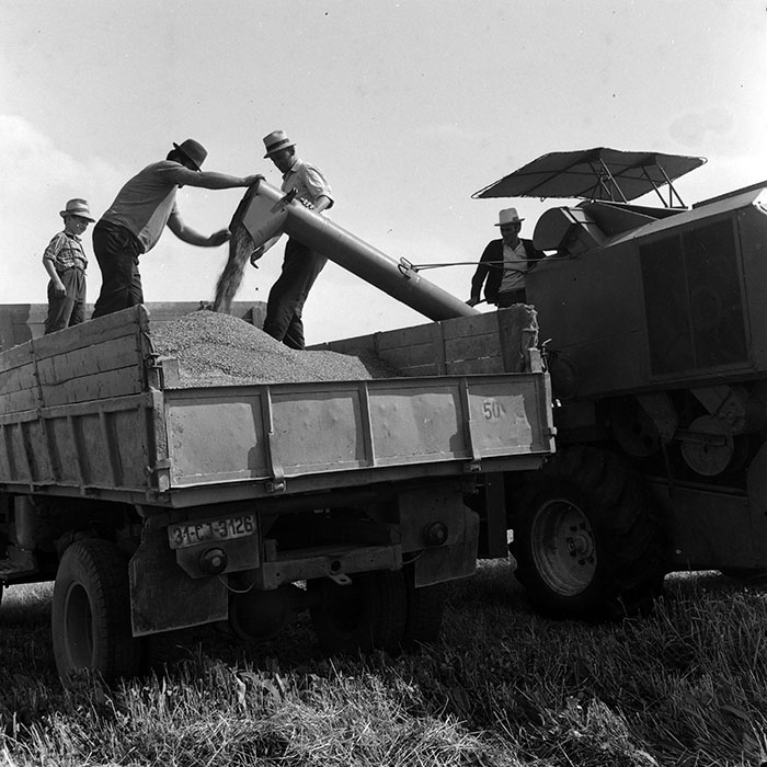 minerva_1970_Agrare_c1_c1r5_016