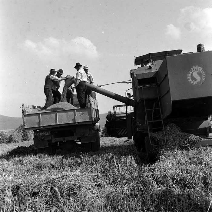 minerva_1970_Agrare_c1_c1r5_017