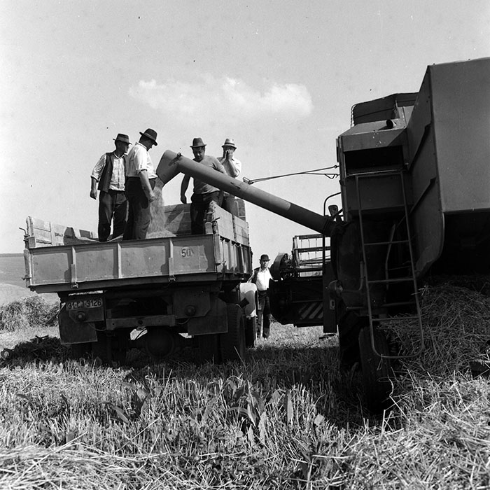 minerva_1970_Agrare_c1_c1r5_018