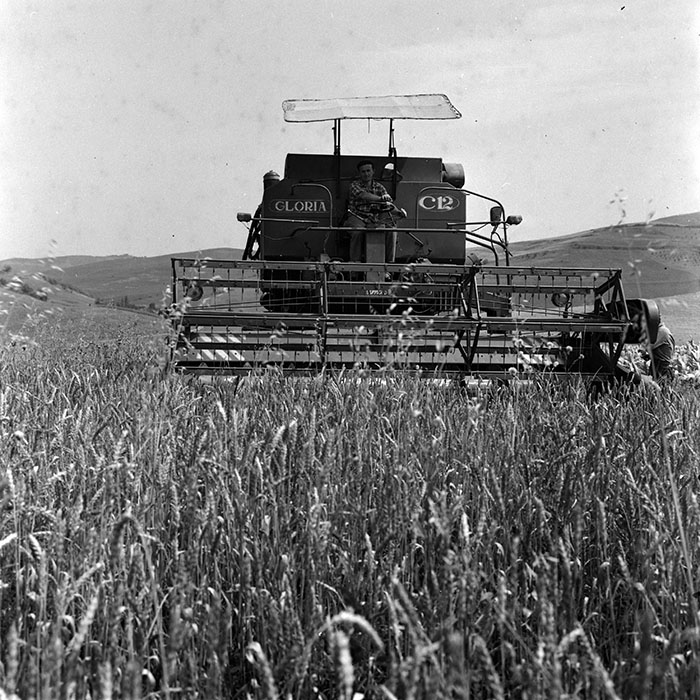 minerva_1970_Agrare_c1_c1r5_019