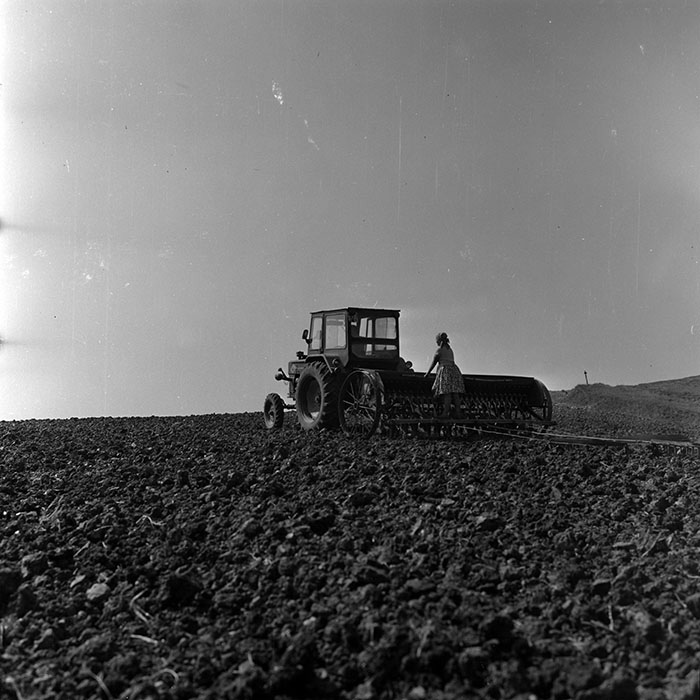 minerva_1970_Agrare_c1_c2r1_001