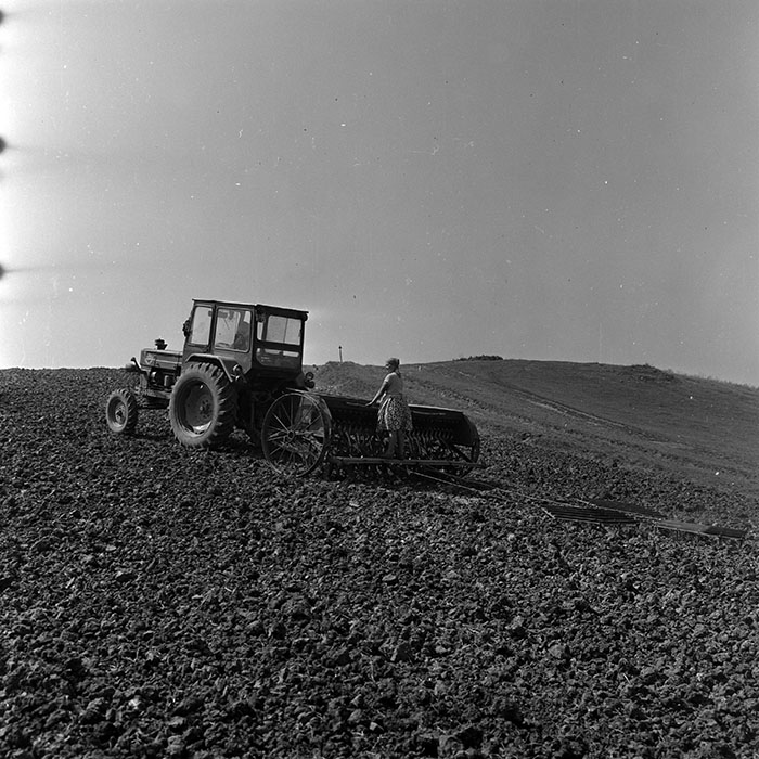 minerva_1970_Agrare_c1_c2r1_002