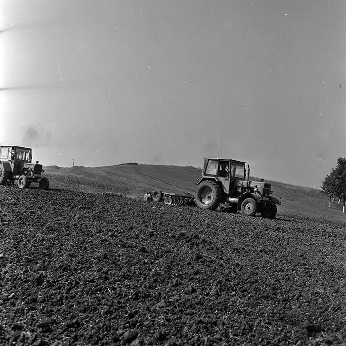 minerva_1970_Agrare_c1_c2r1_008