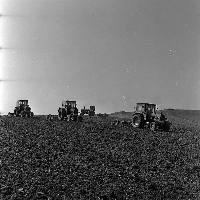 minerva_1970_Agrare_c1_c2r1_009