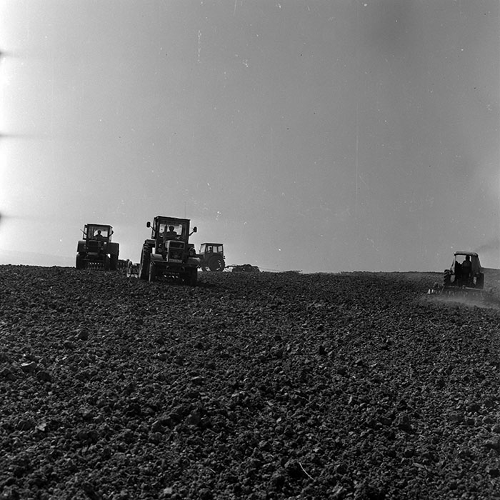 minerva_1970_Agrare_c1_c2r1_010