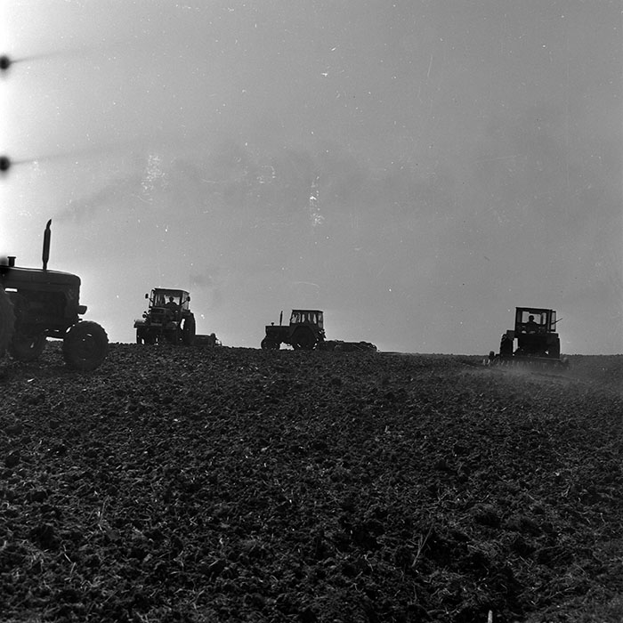 minerva_1970_Agrare_c1_c2r1_012