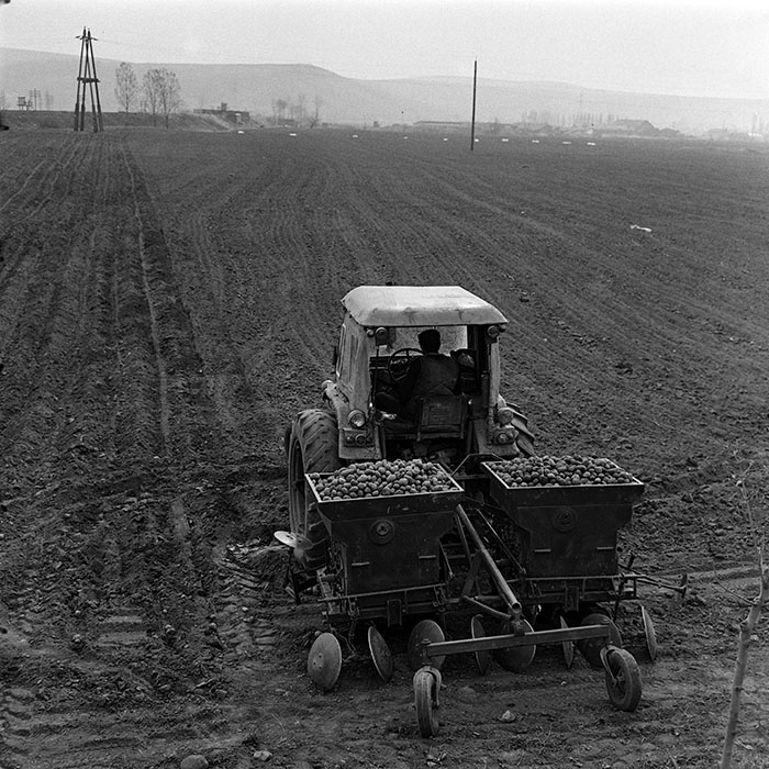 minerva_1970_Agrare_c1_c2r2_004