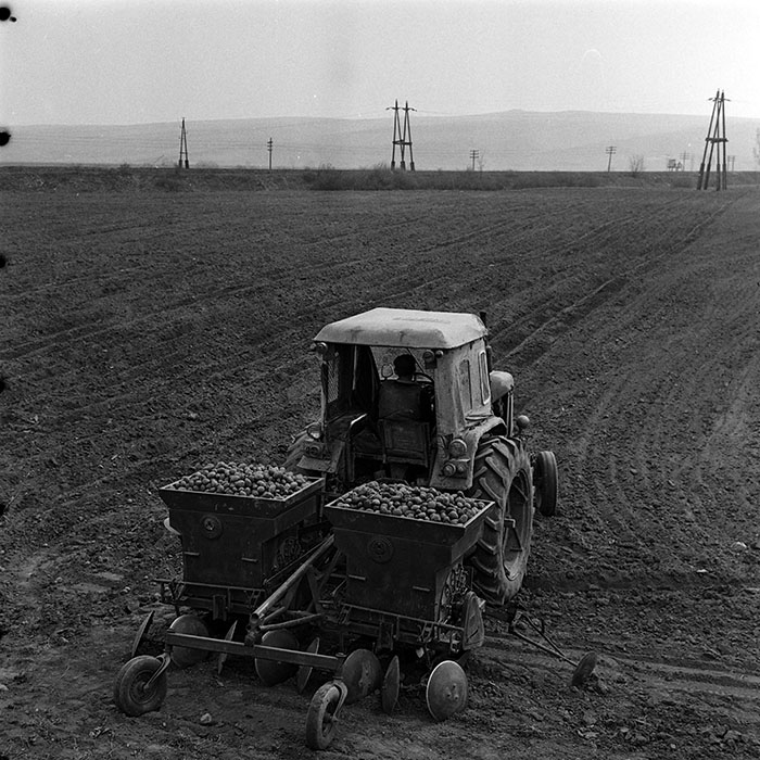 minerva_1970_Agrare_c1_c2r2_006