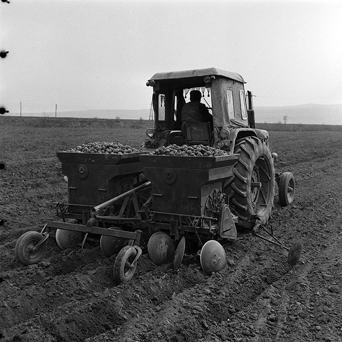 minerva_1970_Agrare_c1_c2r2_007