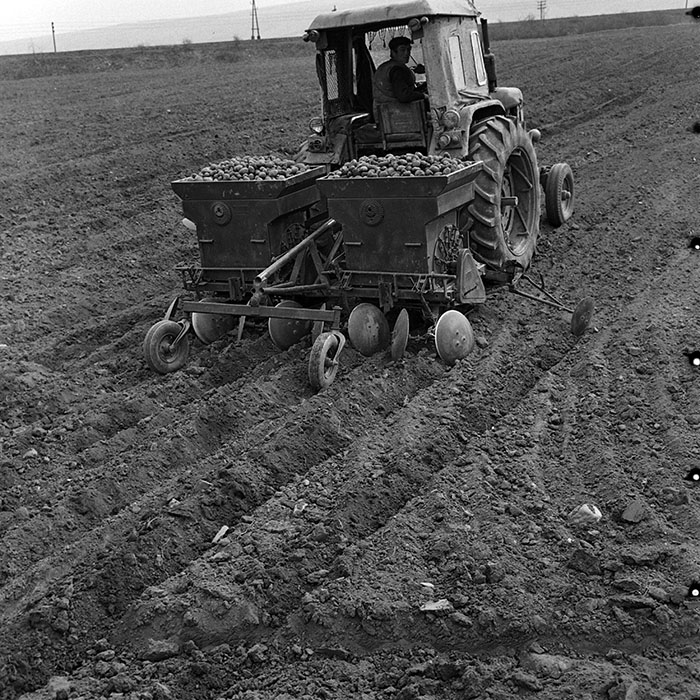 minerva_1970_Agrare_c1_c2r2_008