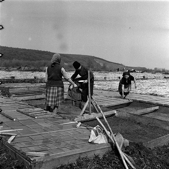 minerva_1970_Agrare_c1_c2r2_009