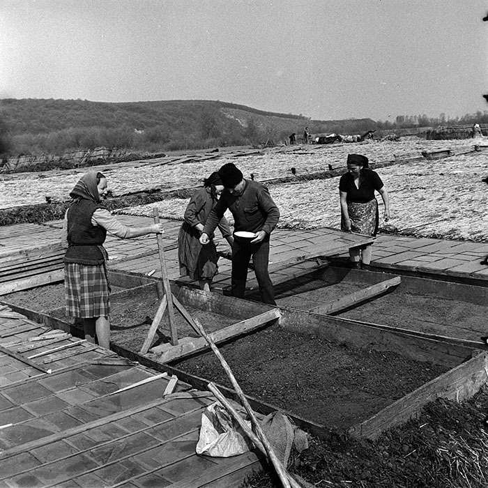 minerva_1970_Agrare_c1_c2r2_010