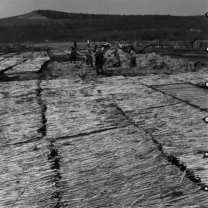 minerva_1970_Agrare_c1_c2r2_011